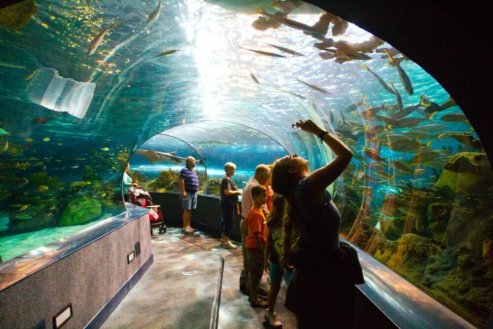 Aquaria KLCC Birthday, Aquaria KLCC Birthday Claim,Aquaria KLCC , Aquaria KLCC Free Entry, Aquaria KLCC free birthday ticket, Birthday Redeem, Birthday Claim, Free Birthday Food, Free Birthday Redeem, Birthday Claims, Birthday Free Redeem, September Birthday Redeem, September 2025 Promo, September Promo, Promo Code September 2025 Discount, Free Birthday Claim, How to Book On-Demand Delivery, How to Book Lori Sewa, TheLorry App Guide, Cara Tempah Lori Sewa, Tempah Lori Sewa, How To Use TheLorry App, How to Book Rental Lorry, Malaysia Rental Lorry, Order Lori Sewa, Movers Kuala Lumpur, lorry service near me, lorry sewa near me, Harga lorry, lori sewa, lori sewa murah, lori sewa pindah rumah, sewa lori 1 tan, lori 5 tan, lori 10 tan, sewa lori pindah rumah, sewa lori 3 tan, lori sewa penang, Harga sewa lori pindah rumah, lori sewa Ipoh, sewa lori murah, 5 tan lori, Harga sewa lori 1 tan, sewa lorry, lori pindah rumah near me, lori sewa 1 tan, perkhidmatan lori sewa, House Moving Package TheLorry, Pindah Rumah, Lori Sewa Selangor, Lori Sewa, Sewa Lori, Rental lorry, Rental lori, House Moving, Movers Malaysia, Movers Near me, Pakej TheLorry, Pakej Pindah Rumah, Lori sewa Pindah, Lori sewa pindah rumah, TheLorry Services, TheLorry, Disposal Service, Lori Sewa, Buang Perabot, Lori Buang Perabot, Tong Roro, Lori Sewa, Sewa Lori. Disposal Lori, tong roro, buang barang lama, buang perabot lama, nak buang perabot lama, nak buang barang, item removal, old furniture throw, lori buang barang, Package TheLorry, Pindah Rumah, Lori Sewa Selangor, Lori Sewa, Sewa Lori, Rental lorry, Rental lori, House Moving, Movers Malaysia, Movers Near me, Pakej TheLorry, Pakej Pindah Rumah, Lori sewa Pindah, Lori sewa pindah rumah, On demand lori sewa, On Demand Service, Delivery Lori, Lorry Delivery, TheLorry Services, TheLorry, Disposal Service, Lori Sewa, Buang Perabot, Lori Buang Perabot, Tong Roro, Lori Sewa, Sewa Lori, Disposal Lori, House Moving Package TheLorry, Pindah Rumah, Lori Sewa Selangor, Lori Sewa, Sewa Lori, Rental lorry, Rental lori, House Moving, Movers Malaysia, Movers Near me, Pakej TheLorry, Pakej Pindah Rumah, Lori sewa Pindah, Lori sewa pindah rumah, House Moving Package TheLorry, Pindah Rumah, Lori Sewa Selangor, Lori Sewa, Sewa Lori, Rental lorry, Rental lori, House Moving, Movers Malaysia, Movers Near me, Pakej TheLorry, Pakej Pindah Rumah, Lori sewa Pindah, Lori sewa pindah rumah, TheLorry, TheLorry app, The Lorry Aplikasi, Lori Sewa, Lori Sewa murah, lori sewa KL, Lori sewa Selangor, Lori sewa Shah Alam, Sewa lori Selangor, lori sewa Shah Alam, lori sewa KL, Delivery app, Lori pindah rumah, Housemoving lorry, rental lorry, rental lori, sewa lori, lori sewa near me, sewa lori berdekatan, lori sewa berdekatan, Movers app, House Moving Package TheLorry, Pindah Rumah, Lori Sewa Selangor, Lori Sewa, Sewa Lori, Rental lorry, Rental lori, House Moving, Movers Malaysia, Movers Near me, Pakej TheLorry, Pakej Pindah Rumah, Lori sewa Pindah, Lori sewa pindah rumah, TheLorry Services, Thelorry package, housemoving package, disposal service, crossborder, pindah singapore, lori 3 tan pindah rumah, kos lori pindah rumah, service lori pindah rumah, lori 1 tan pindah rumah, khidmat lori sewa, lori pindah rumah puchong​, harga sewa lori pindah rumah​,sewa lori pindah rumah​, lori sewa pindah rumah​, lori pindah rumah​, Movers Kuala Lumpur, lorry service near me, lorry sewa near me, 5 tan lorry, 10 ft lorry, 17 feet lorry, Pindah Rumah, Lori Sewa Selangor, Lori Sewa, Sewa Lori, Rental lorry, Rental lori, House Moving, Movers Malaysia, Movers Near me, Pakej TheLorry, Pakej Pindah Rumah, Lori sewa Pindah, Lori sewa pindah rumah, TheLorry Services, Thelorry package, housemoving package, disposal service, crossborder, pindah singapore, On demand lori sewa, On Demand Service, Delivery Lori, Lorry Delivery, TheLorry Services, TheLorry, Disposal Service, Lori Sewa, Buang Perabot, Lori Buang Perabot, Tong Roro, Lori Sewa, Sewa Lori, Disposal Lori, House Moving Package TheLorry, Pindah Rumah, Lori Sewa Selangor, Lori Sewa, Sewa Lori, Rental lorry, Rental lori, House Moving, Movers Malaysia, Movers Near me, Pakej TheLorry, Pakej Pindah Rumah, Lori sewa Pindah, Lori sewa pindah rumah, lori 1 tan, lori sewa 1 tan, sewa lori 1 tan, Pakej TheLorry, Pakej Pindah Rumah, Lori sewa Pindah, Lori sewa pindah rumah, lori 3 tan, lori sewa 3 tan, sewa lori 3 tan, Lori sewa pindah rumah, lori 5 tan, lori sewa 5 tan, sewa lori 5 tan, lori sewa 1 tan, sewa lori 1 tan, sewa 4x4, sewa van, sewa van near me, Sewa kereta 4x4, sewa van, House Moving Package, Cheap Movers, Movers near me, Lori sewa near me