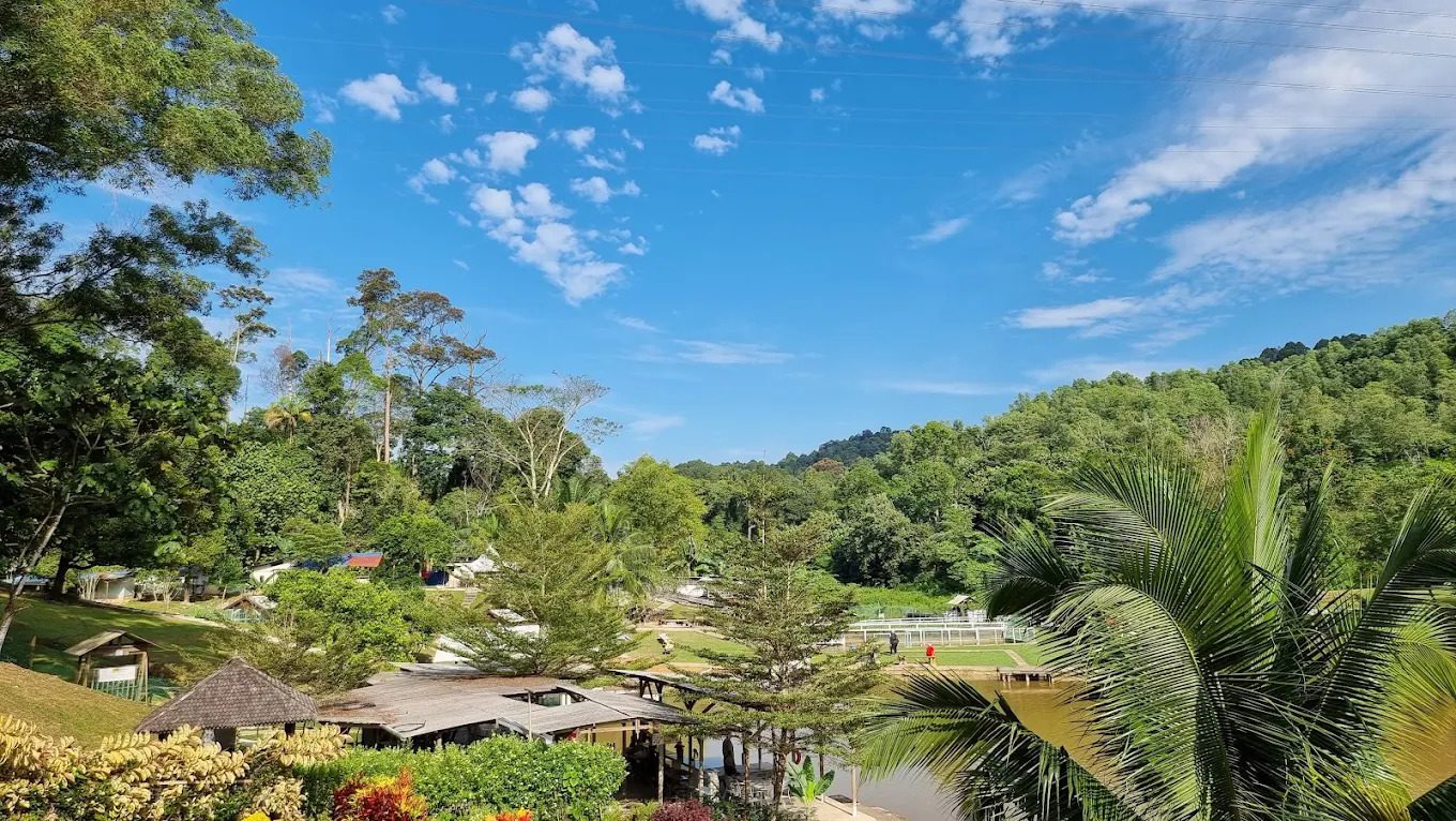 bukit jelutong eco community park, eco park bukit jelutong shah alam, bukit jelutong green park, shah alam eco friendly park, bukit jelutong jogging park, bukit jelutong cycling park, bukit jelutong family outdoor park, shah alam eco community spaces, bukit jelutong recreational park, shah alam eco lifestyle park, bukit jelutong weekend activities, bukit jelutong outdoor leisure park, shah alam nature parks, bukit jelutong community lifestyle park, shah alam parks and recreation, eco park shah alam malaysia, bukit jelutong family friendly park, shah alam jogging and cycling trails, bukit jelutong eco green space, shah alam outdoor attractions